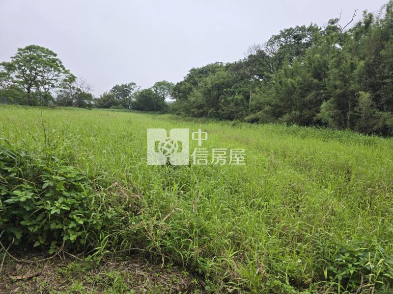 (專)央大旁都內農房屋室內格局與周邊環境