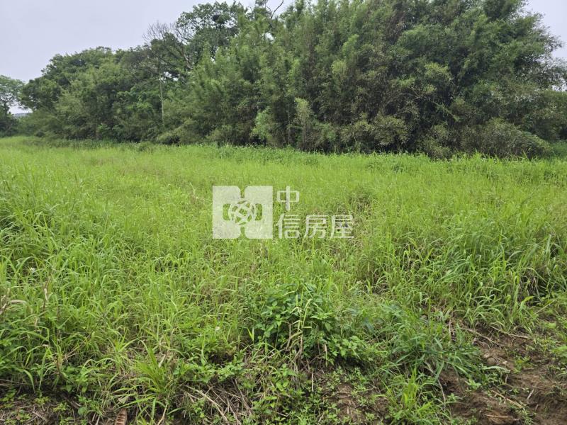 (專)央大旁都內農房屋室內格局與周邊環境