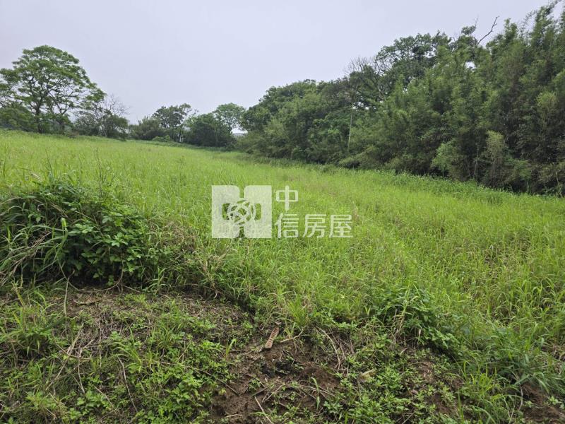 (專)央大旁都內農房屋室內格局與周邊環境