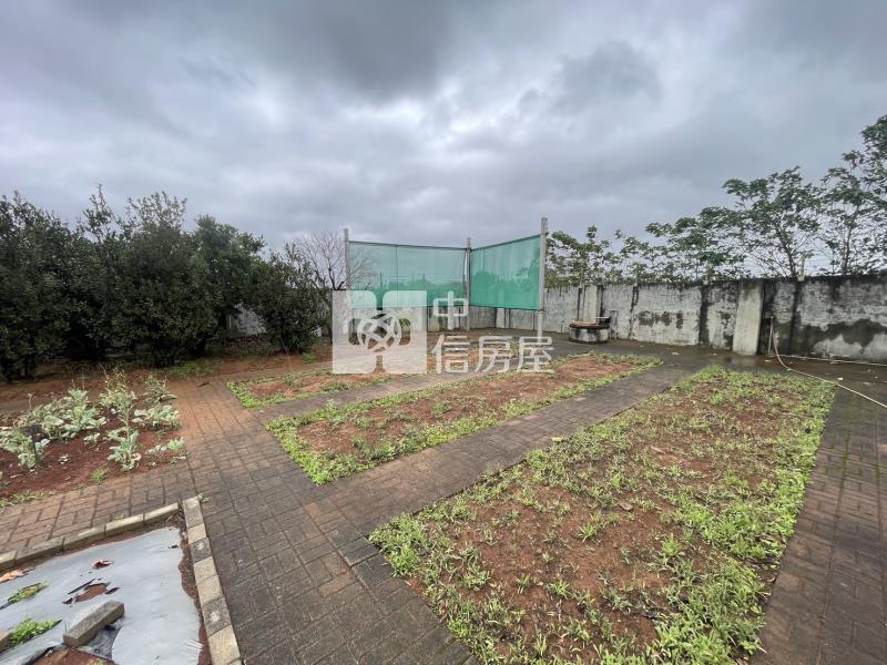 【安家】觀音新坡千坪甲建(角地)房屋室內格局與周邊環境