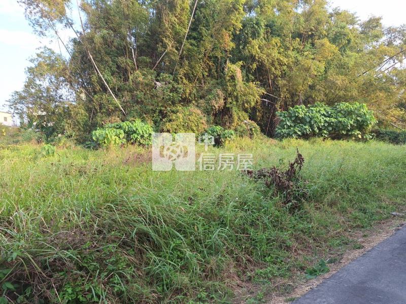 近歸仁腳踏車道區段徵收土地房屋室內格局與周邊環境