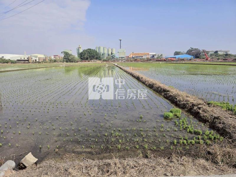 官田二鎮3分8都內美農地房屋室內格局與周邊環境