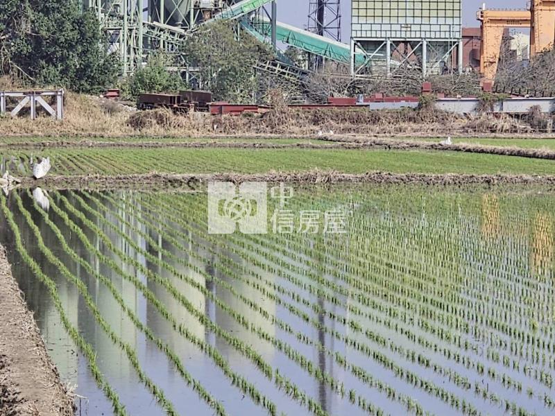 官田二鎮3分8都內美農地房屋室內格局與周邊環境