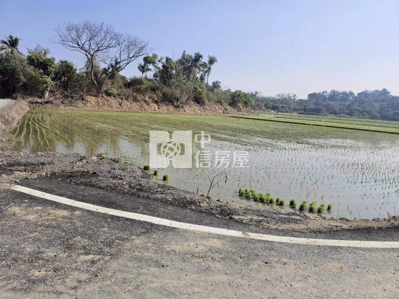 官田都內雙面臨路△1分7美農地房屋室內格局與周邊環境