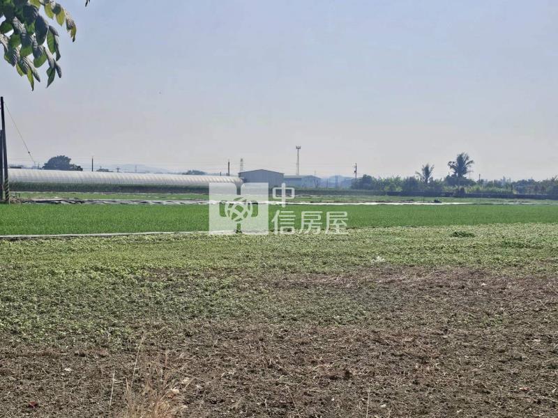 官田臨20米道路6分1都內美農地房屋室內格局與周邊環境