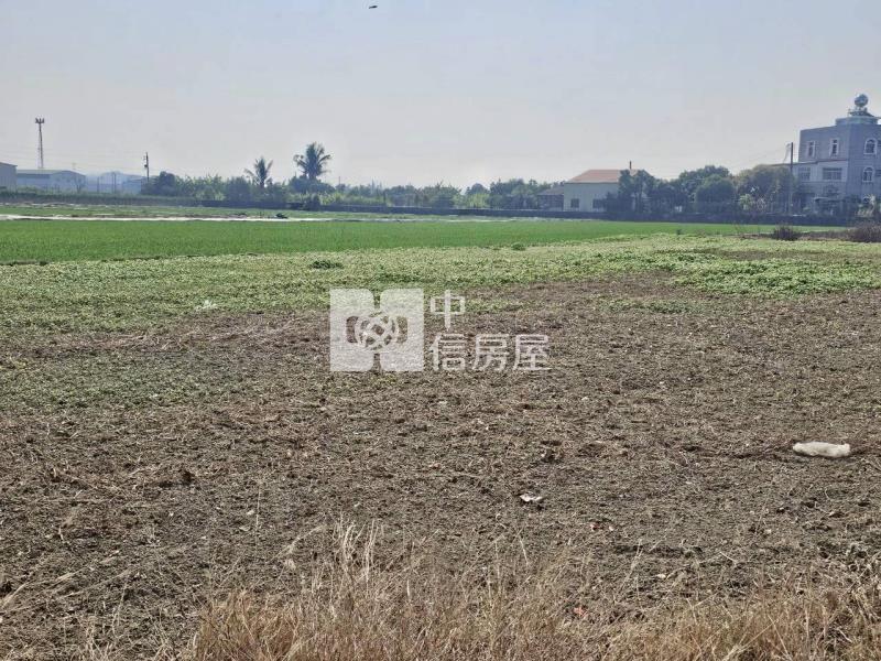 官田臨20米道路6分1都內美農地房屋室內格局與周邊環境