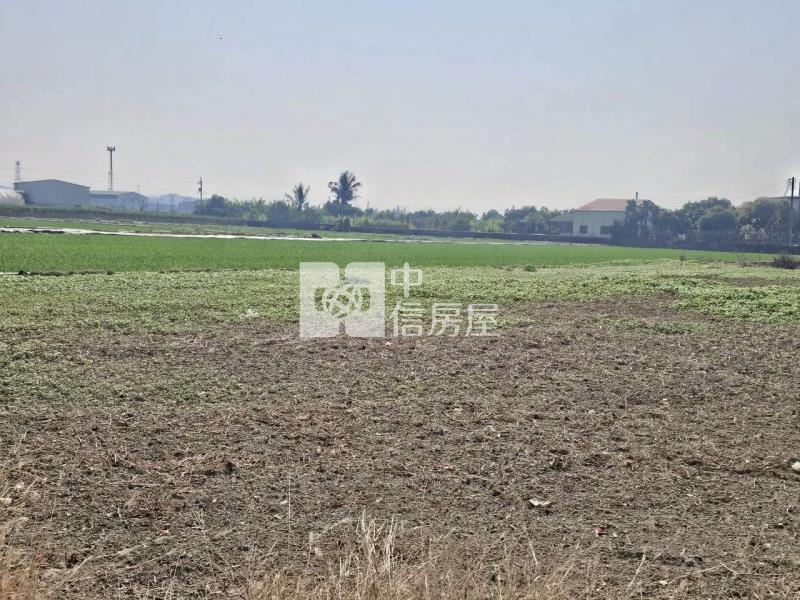 官田臨20米道路6分1都內美農地房屋室內格局與周邊環境