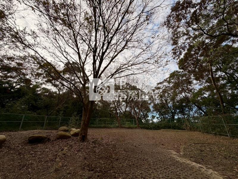 渴望獨棟花園別墅房屋室內格局與周邊環境