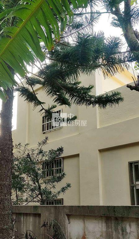 楊梅上湖國小合法農舍(中信卓越團隊)房屋室內格局與周邊環境