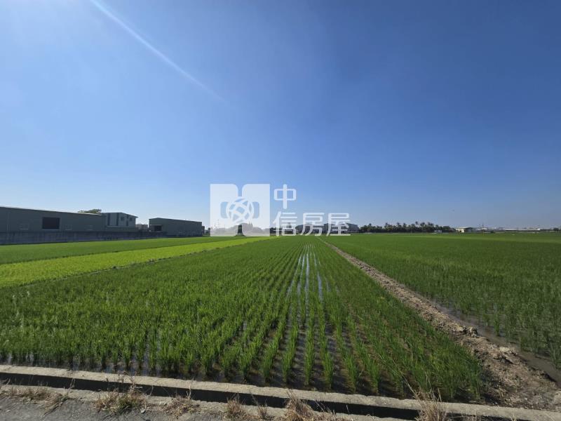 橋頭美農地房屋室內格局與周邊環境