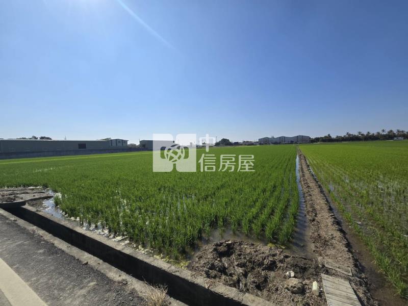 橋頭美農地房屋室內格局與周邊環境