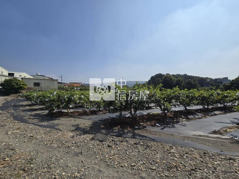 阿蓮區都內農地房屋室內格局與周邊環境