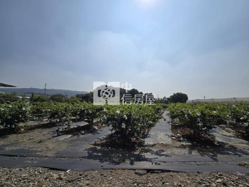 阿蓮區都內農地房屋室內格局與周邊環境