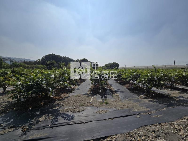 阿蓮區都內農地房屋室內格局與周邊環境