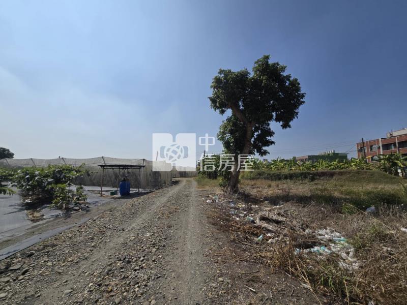 阿蓮區都內農地房屋室內格局與周邊環境