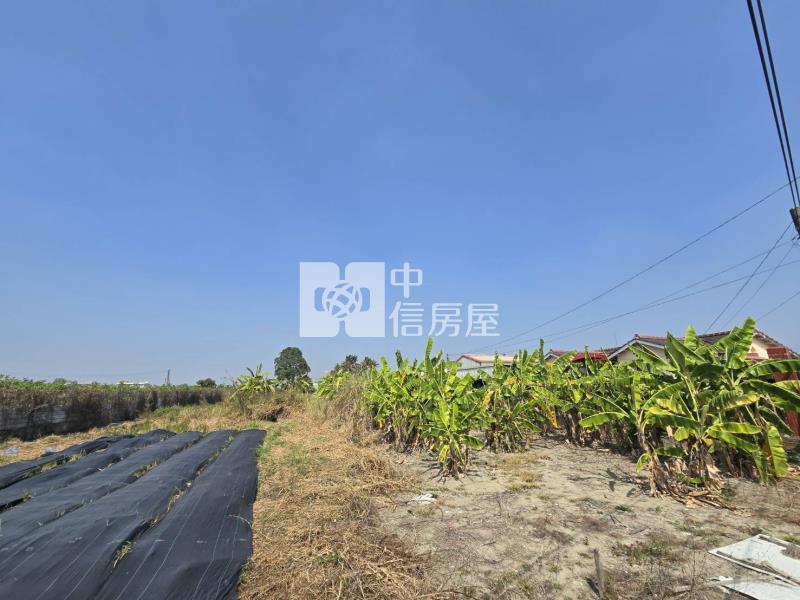 阿蓮超值農地房屋室內格局與周邊環境