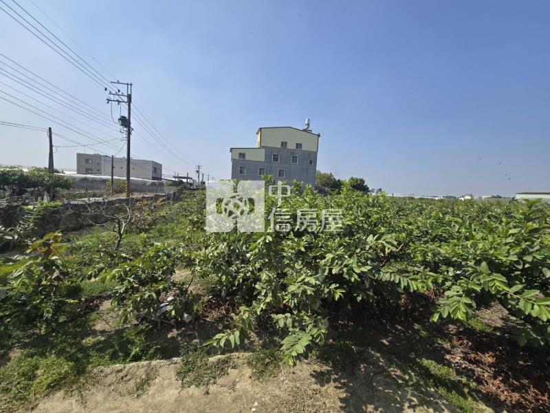 阿蓮都內方正農地房屋室內格局與周邊環境