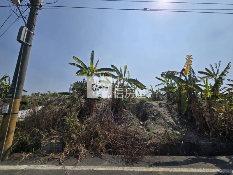 阿蓮土庫双面有路特農房屋室內格局與周邊環境
