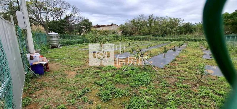 近體育園區都內農地A房屋室內格局與周邊環境