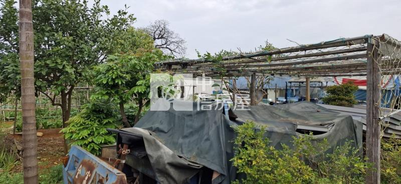 近體育園區都內農地B(持分)房屋室內格局與周邊環境