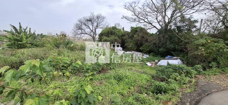 近體育園區都內農地B(持分)房屋室內格局與周邊環境