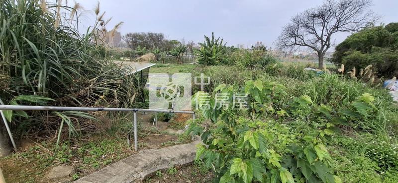 近體育園區都內農地B(持分)房屋室內格局與周邊環境