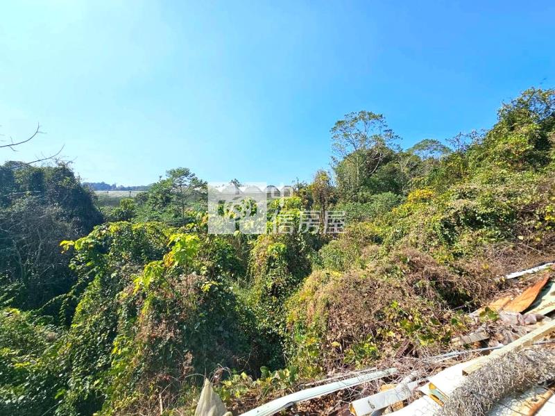 土方專案房屋室內格局與周邊環境