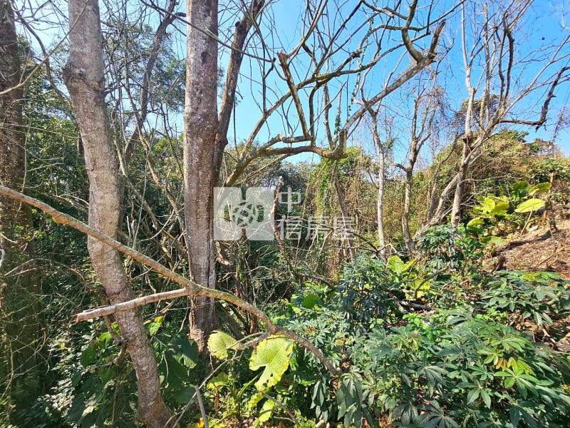 土方專案房屋室內格局與周邊環境