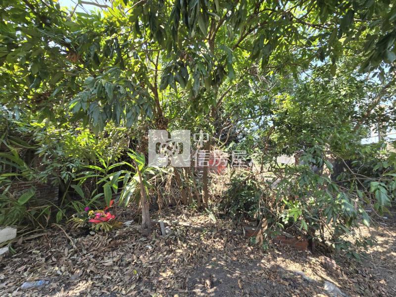 嘉義太保市商業區建地(專)房屋室內格局與周邊環境