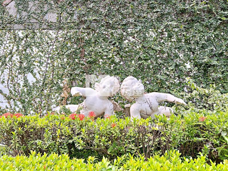 屏東房屋 崇蘭新都心靜居小別墅房屋室內格局與周邊環境