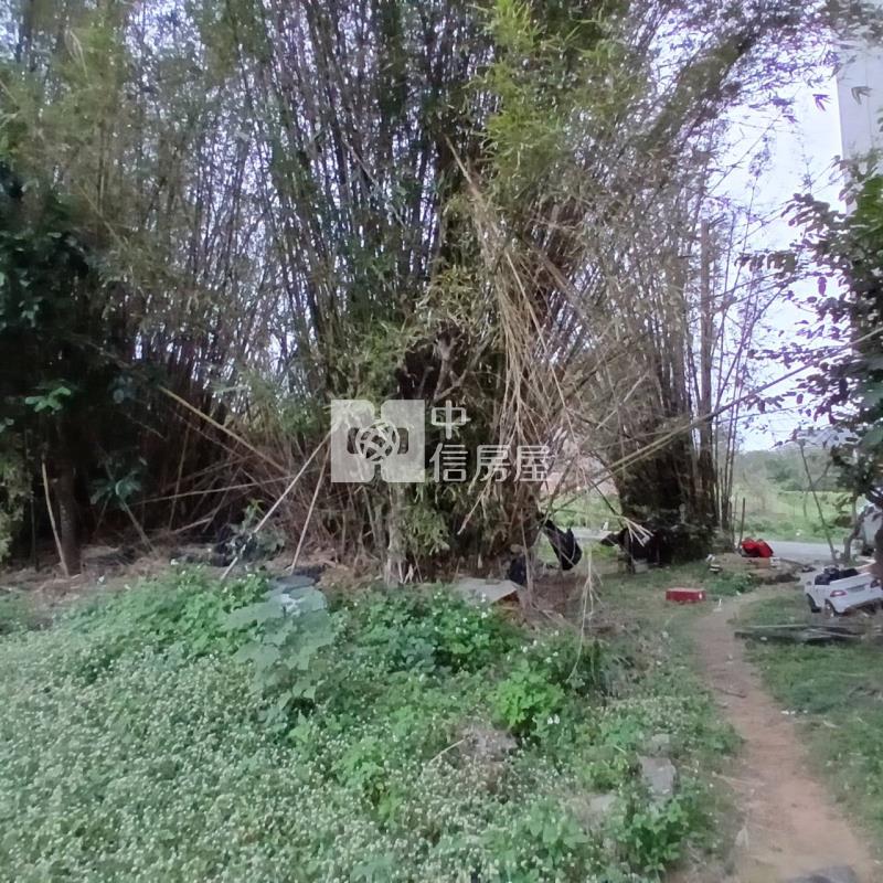 【安家】大園區172坪甲建房屋室內格局與周邊環境