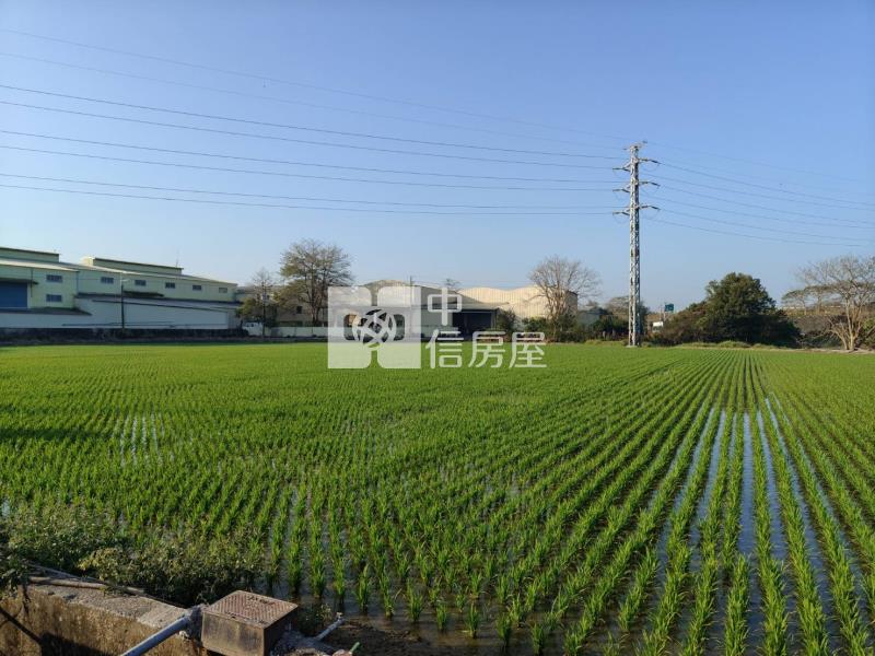 近新市產業園區社區旁大面寬5分農地房屋室內格局與周邊環境
