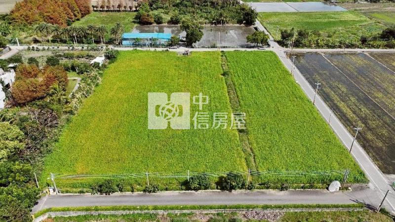 永興雙面臨路方正美農地房屋室內格局與周邊環境