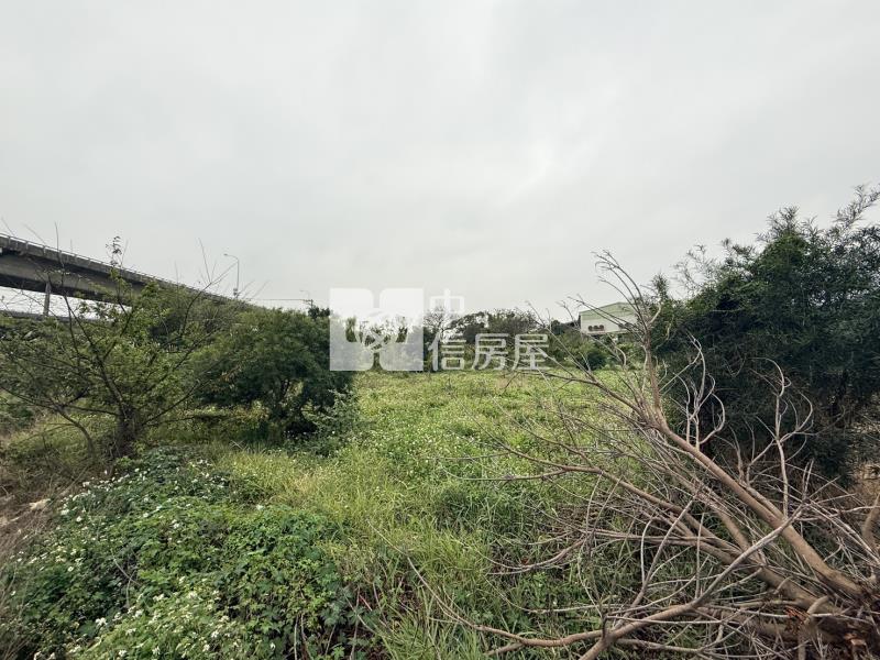 【安家】中壢服務休息站雙面臨路都計農房屋室內格局與周邊環境