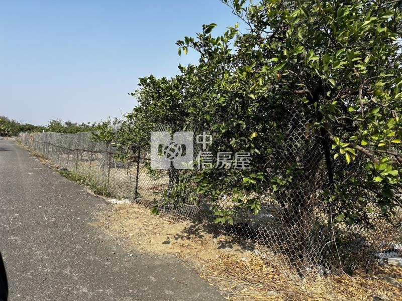 麻豆三角窗方正柚子園房屋室內格局與周邊環境