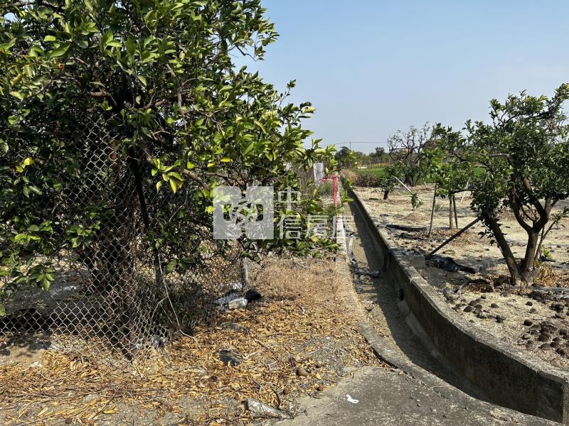 麻豆三角窗方正柚子園房屋室內格局與周邊環境