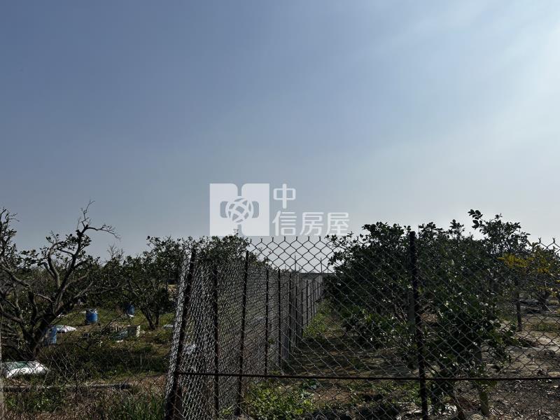 麻豆三角窗方正柚子園房屋室內格局與周邊環境