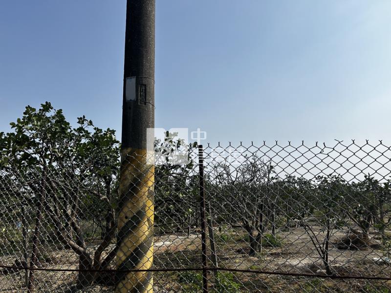 麻豆三角窗方正柚子園房屋室內格局與周邊環境