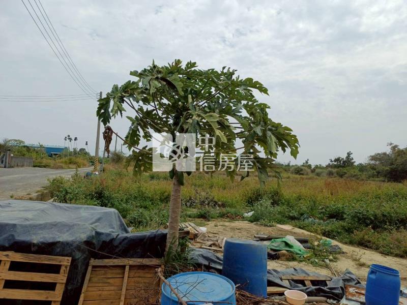 柳營839坪美農地房屋室內格局與周邊環境