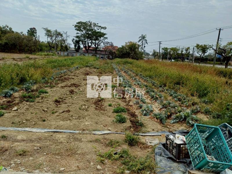 柳營839坪美農地房屋室內格局與周邊環境