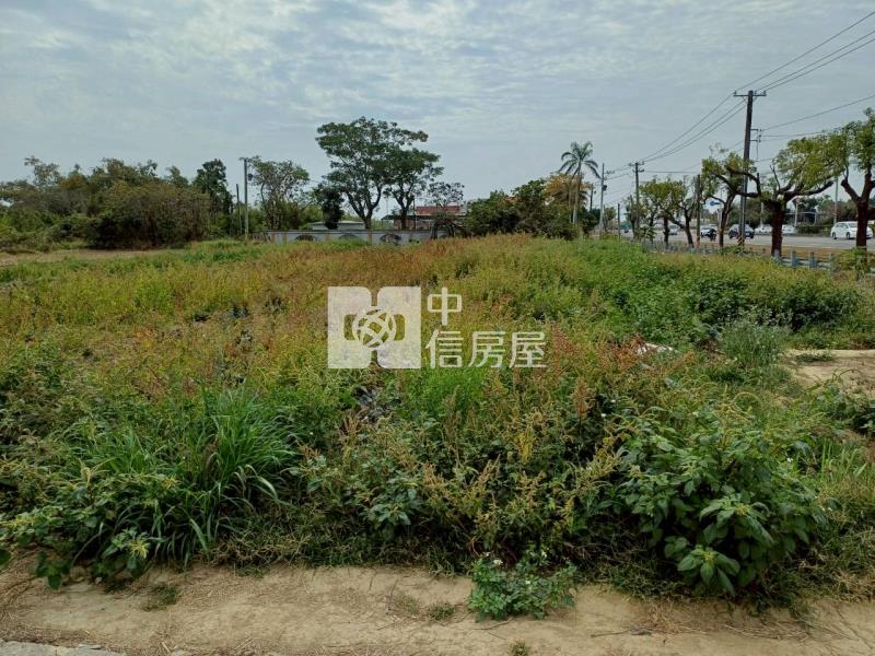 柳營839坪美農地房屋室內格局與周邊環境