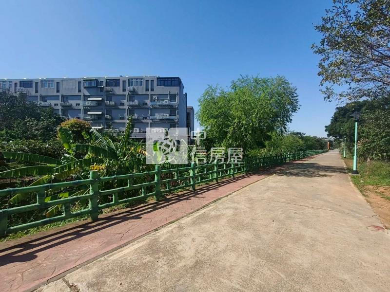 中壢平鎮新屋交流道小坪數都內農(有水有電)B房屋室內格局與周邊環境