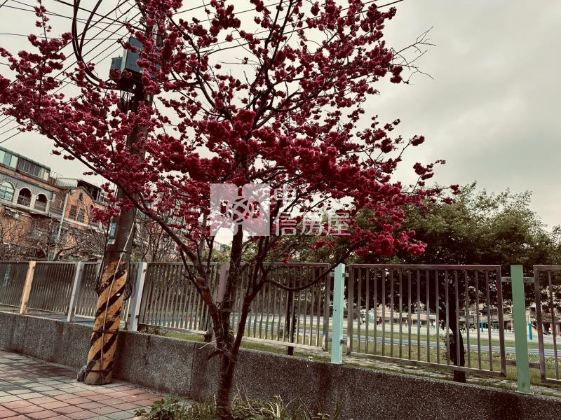 正瑞梅國小旁公園學區透天房屋室內格局與周邊環境