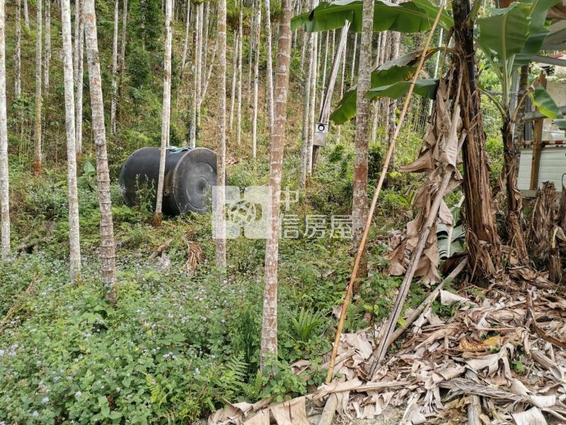 桃米森活建地+農地房屋室內格局與周邊環境