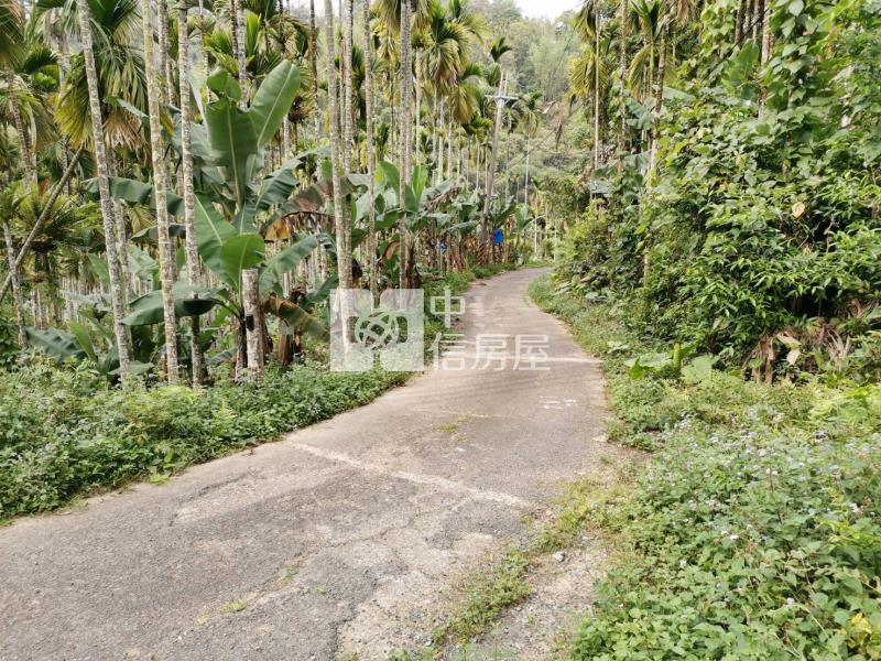 桃米森活建地+農地房屋室內格局與周邊環境