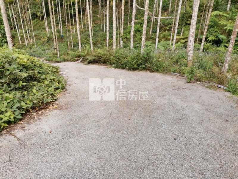 桃米森活建地+農地房屋室內格局與周邊環境