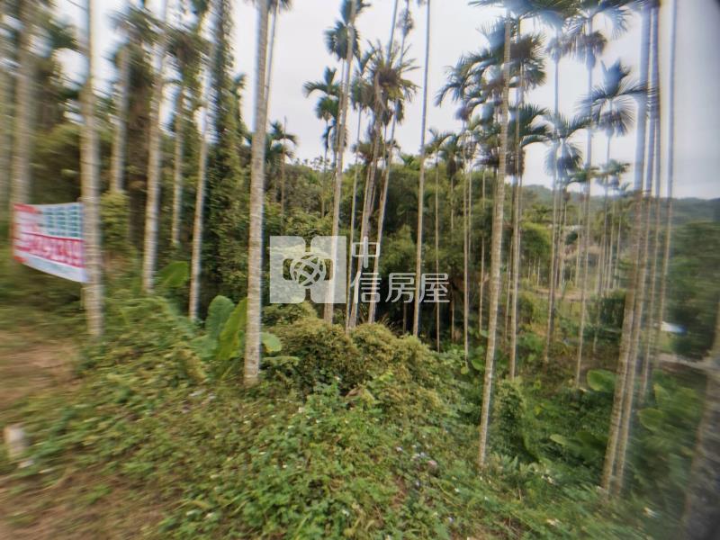 桃米森活建地+農地房屋室內格局與周邊環境