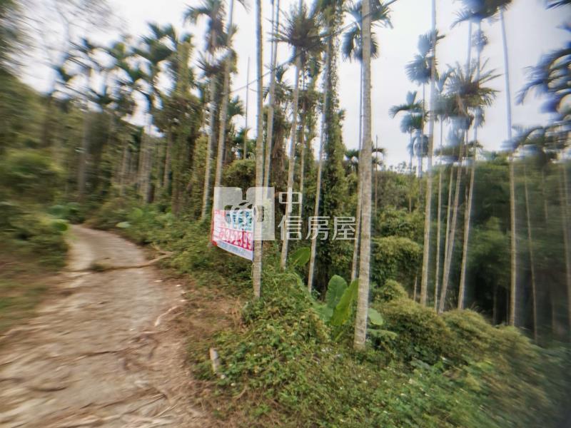 桃米森活建地+農地房屋室內格局與周邊環境