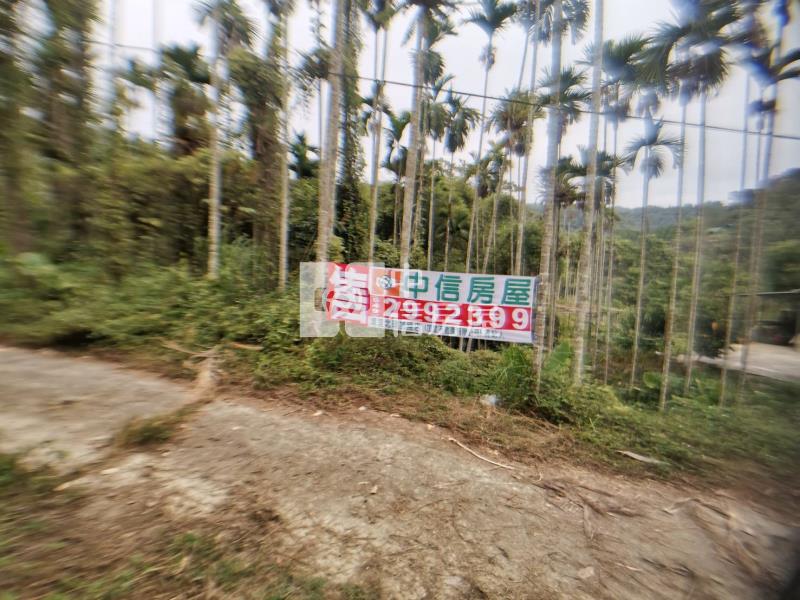 桃米森活建地+農地房屋室內格局與周邊環境