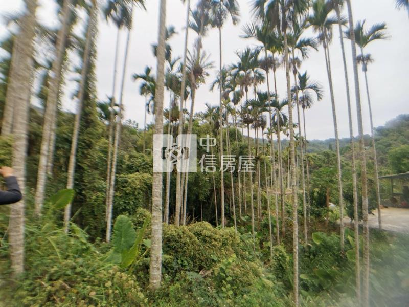 桃米森活建地+農地房屋室內格局與周邊環境